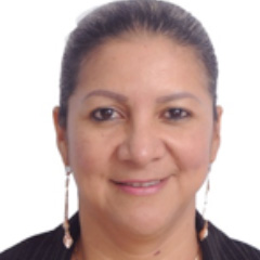 Dirección de Vinculación 3 gladis sanmartin